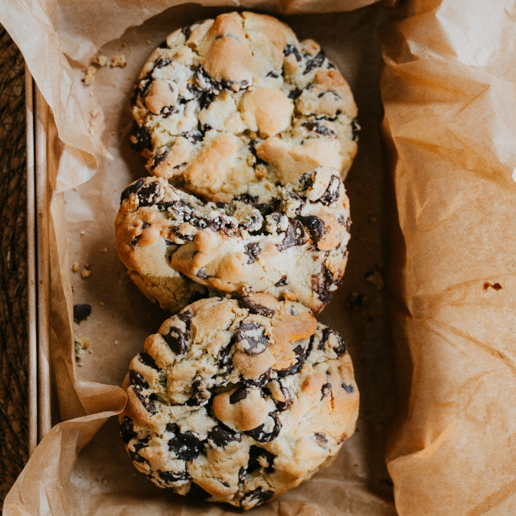 The Noble Chip: dark chocolate chip cookie